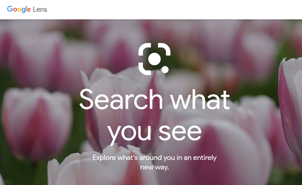 google-lens-search-what-you-see